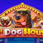 Играйте в слот The Dog House на сайте 1Go Casino бесплатно